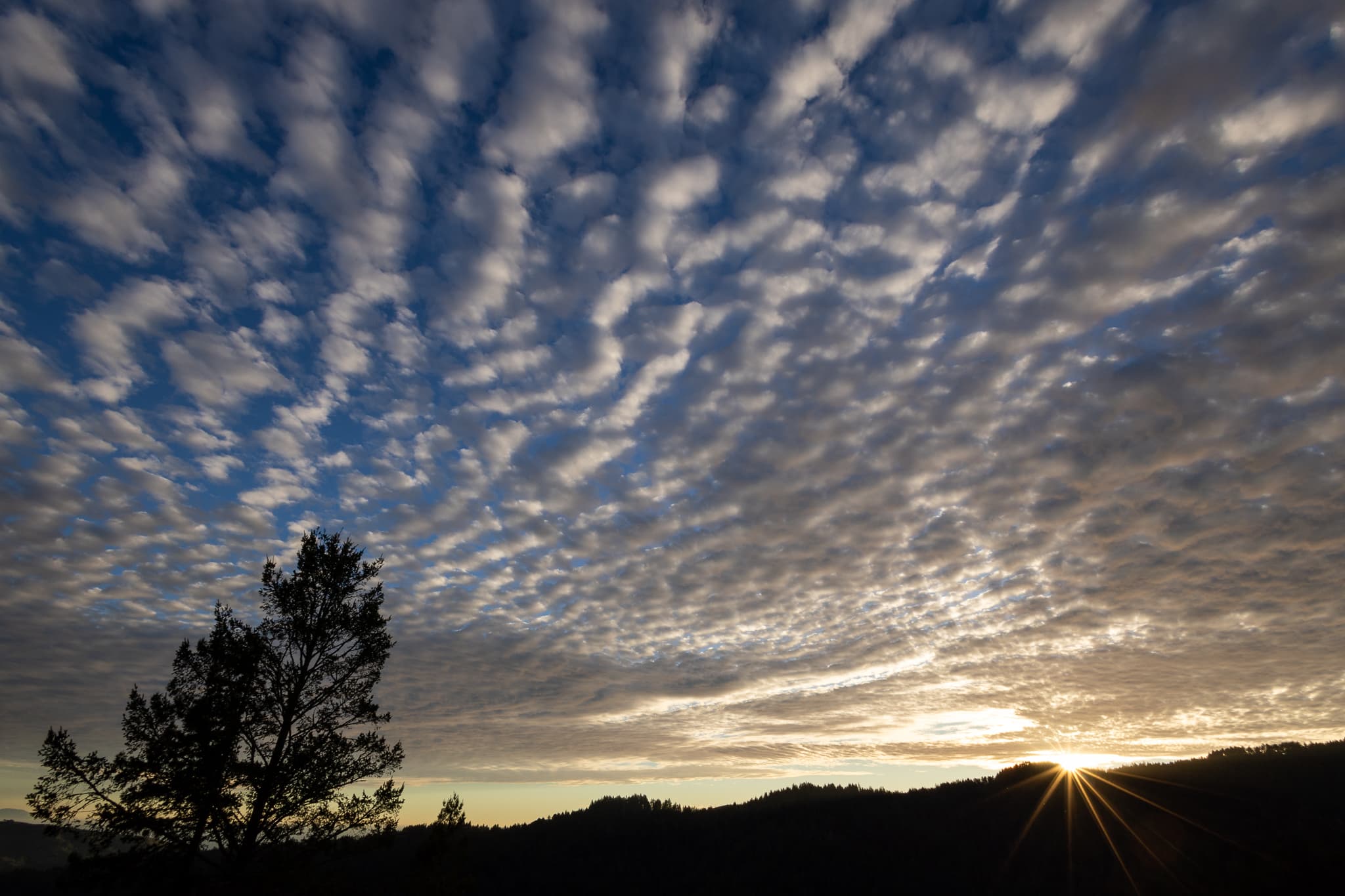 A photograph by Robert Windel