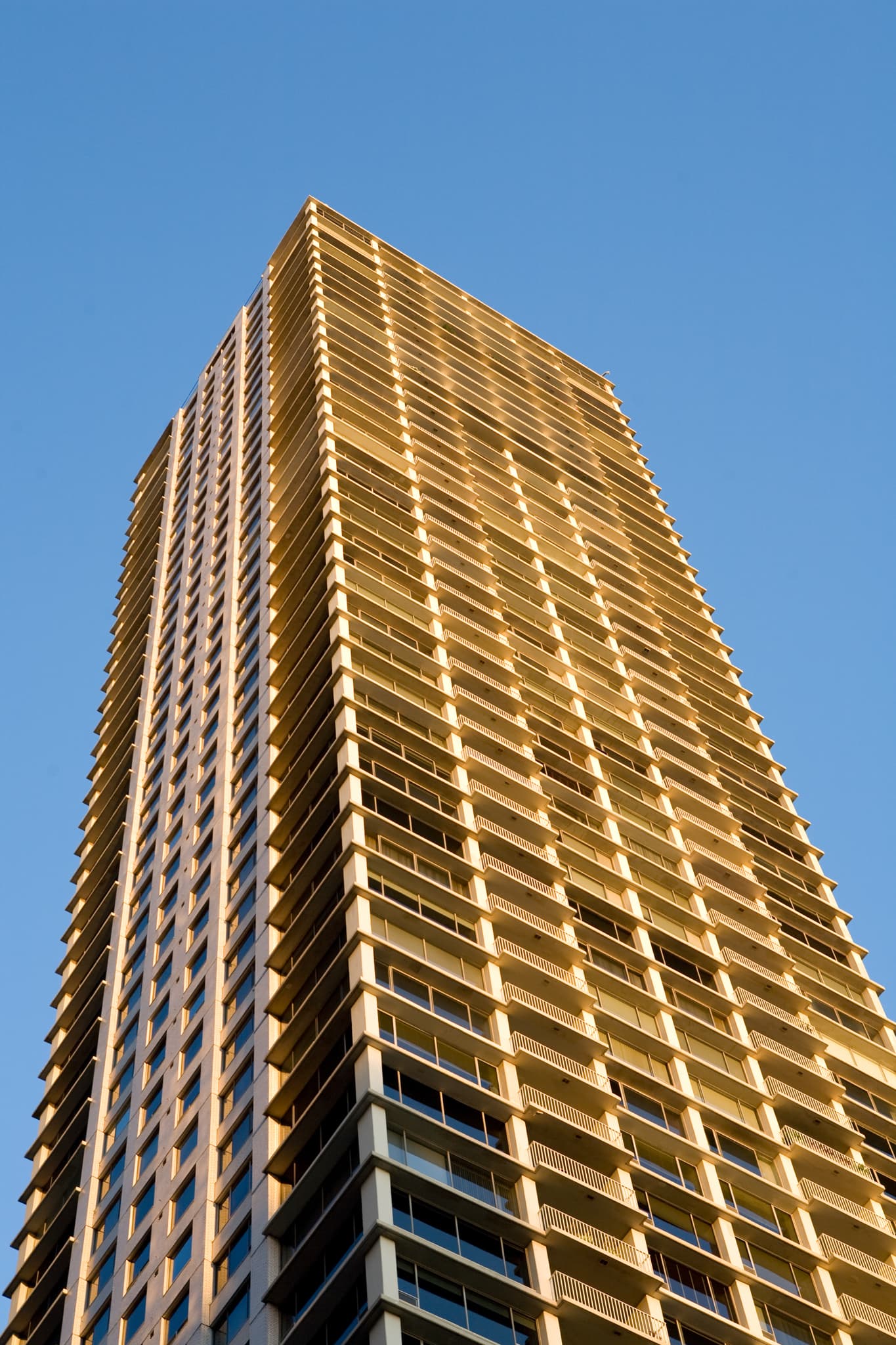 Gold Skin — Chicago, Illinois