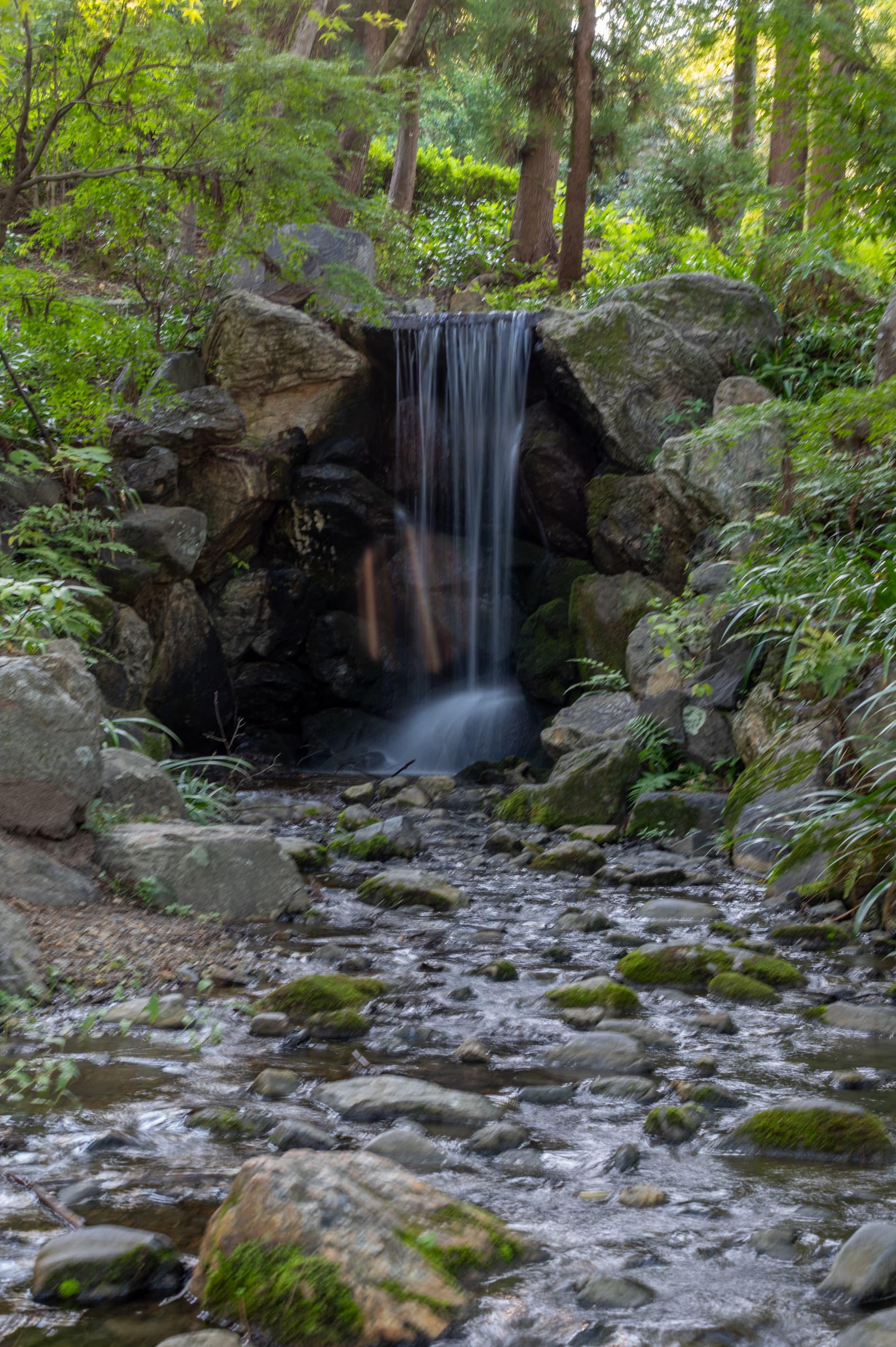 Garden Falls - Kyoto, Japan