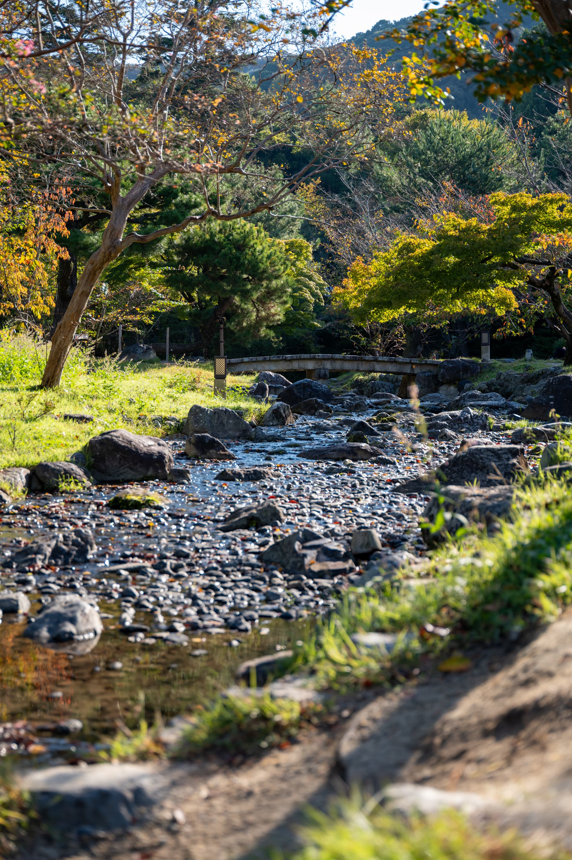 Autumn Stream - Kyoto, Japan