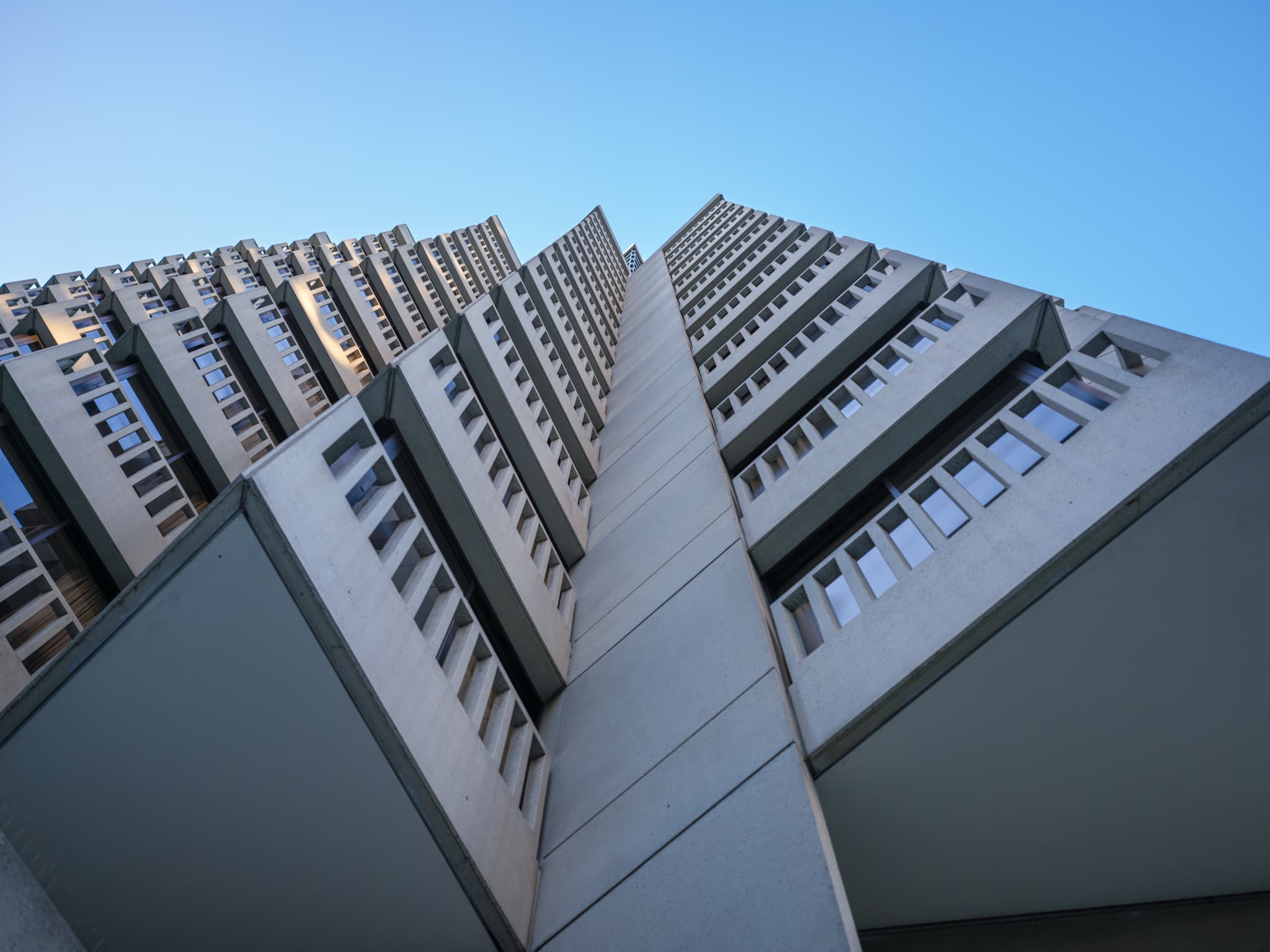Zigzag - San Francisco, California