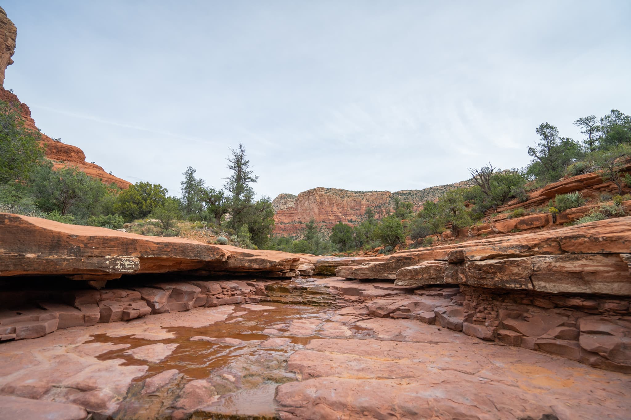 Desert Pool - Sedona, Arizona