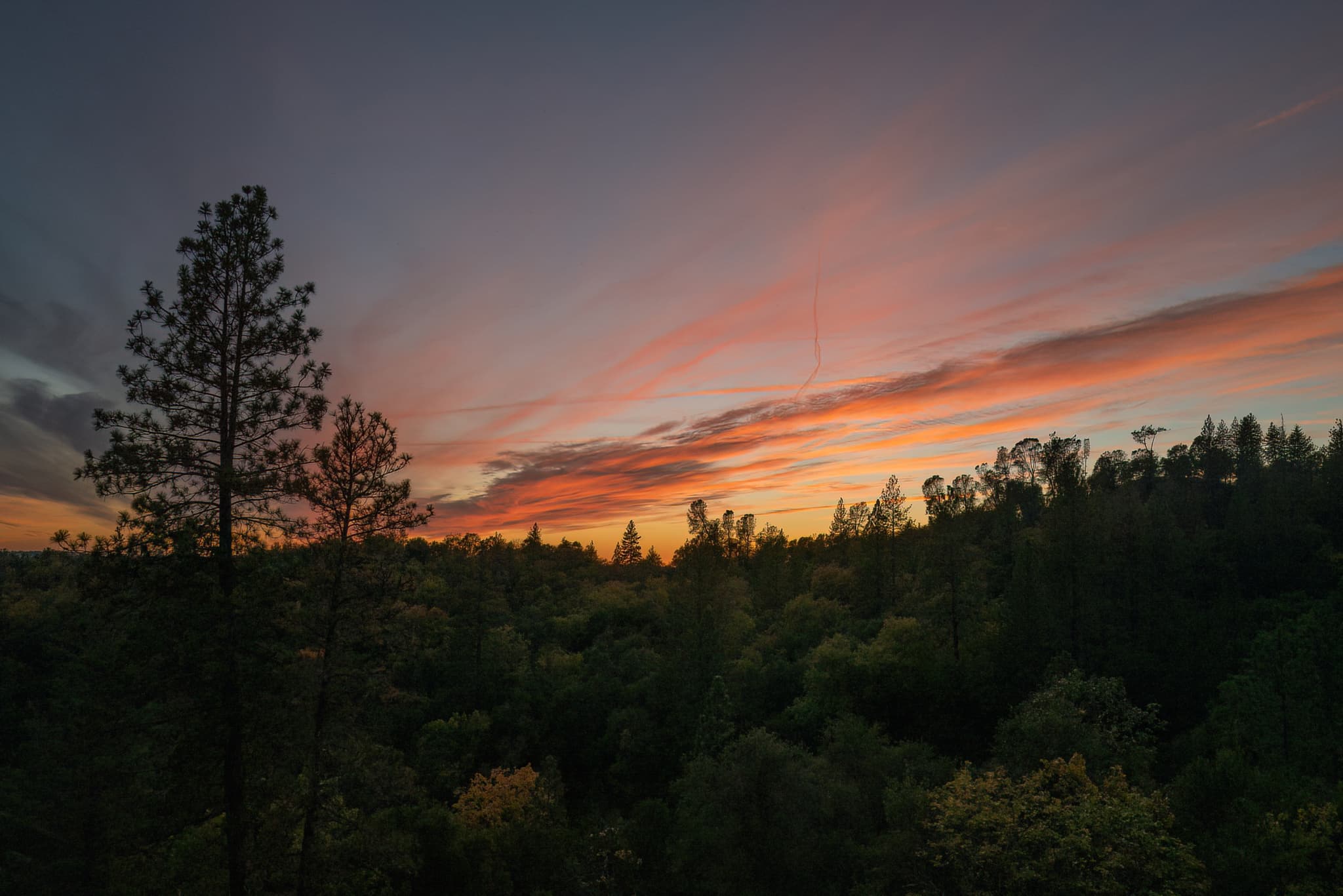 Amador Pastel - Jackson, California