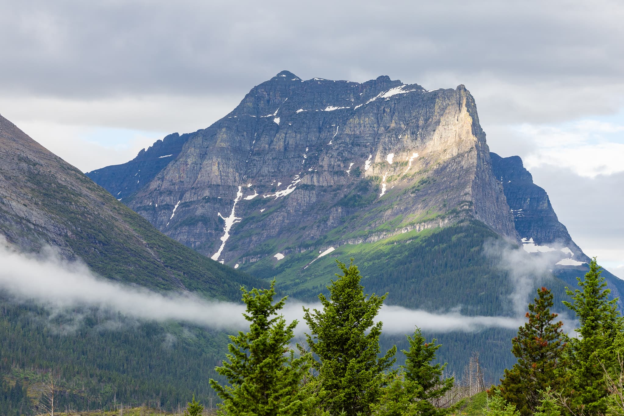 Fogbound - Glacier National Park, Montana