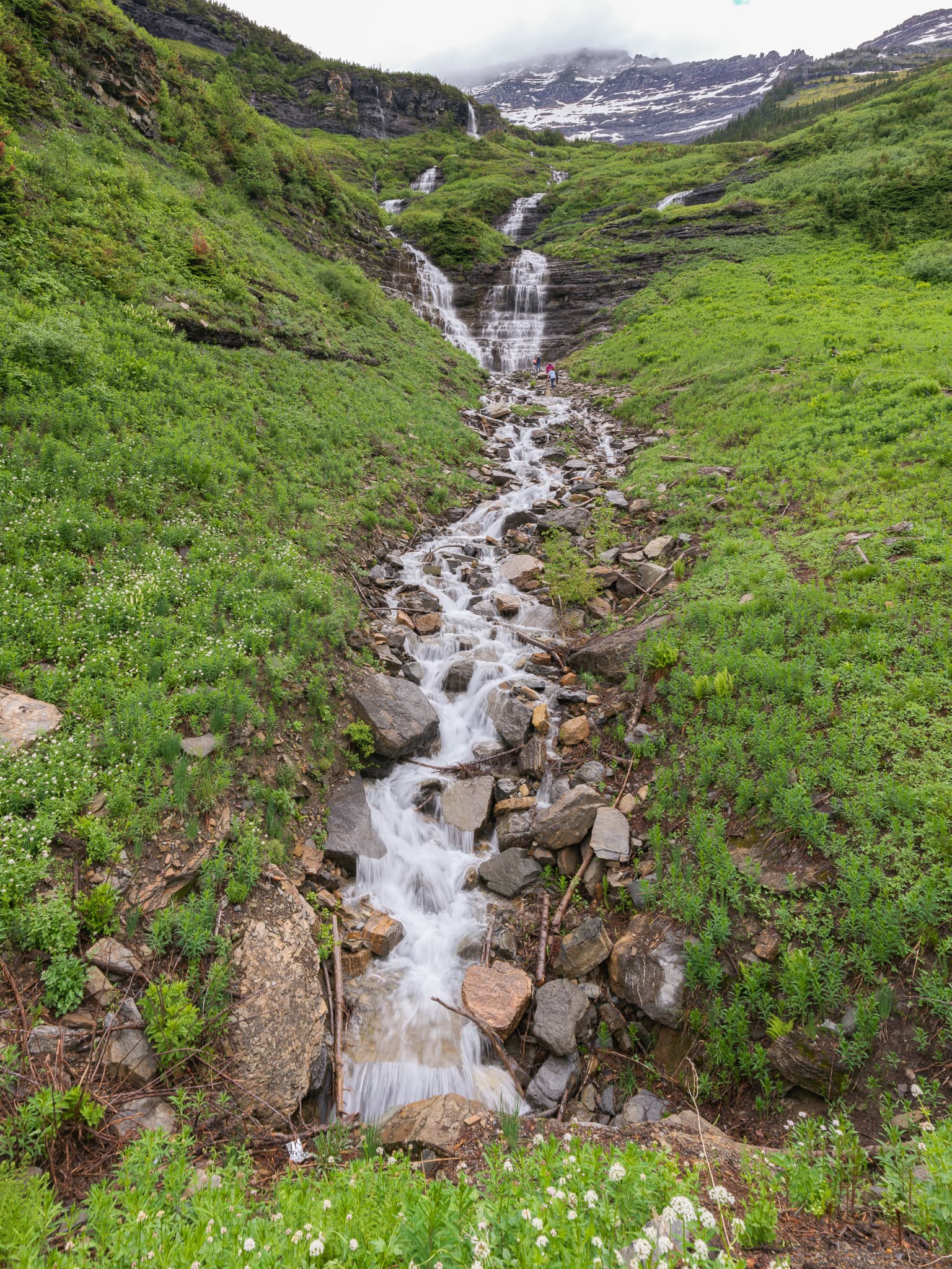 Cascade - Going-to-the-Sun Road, Montana