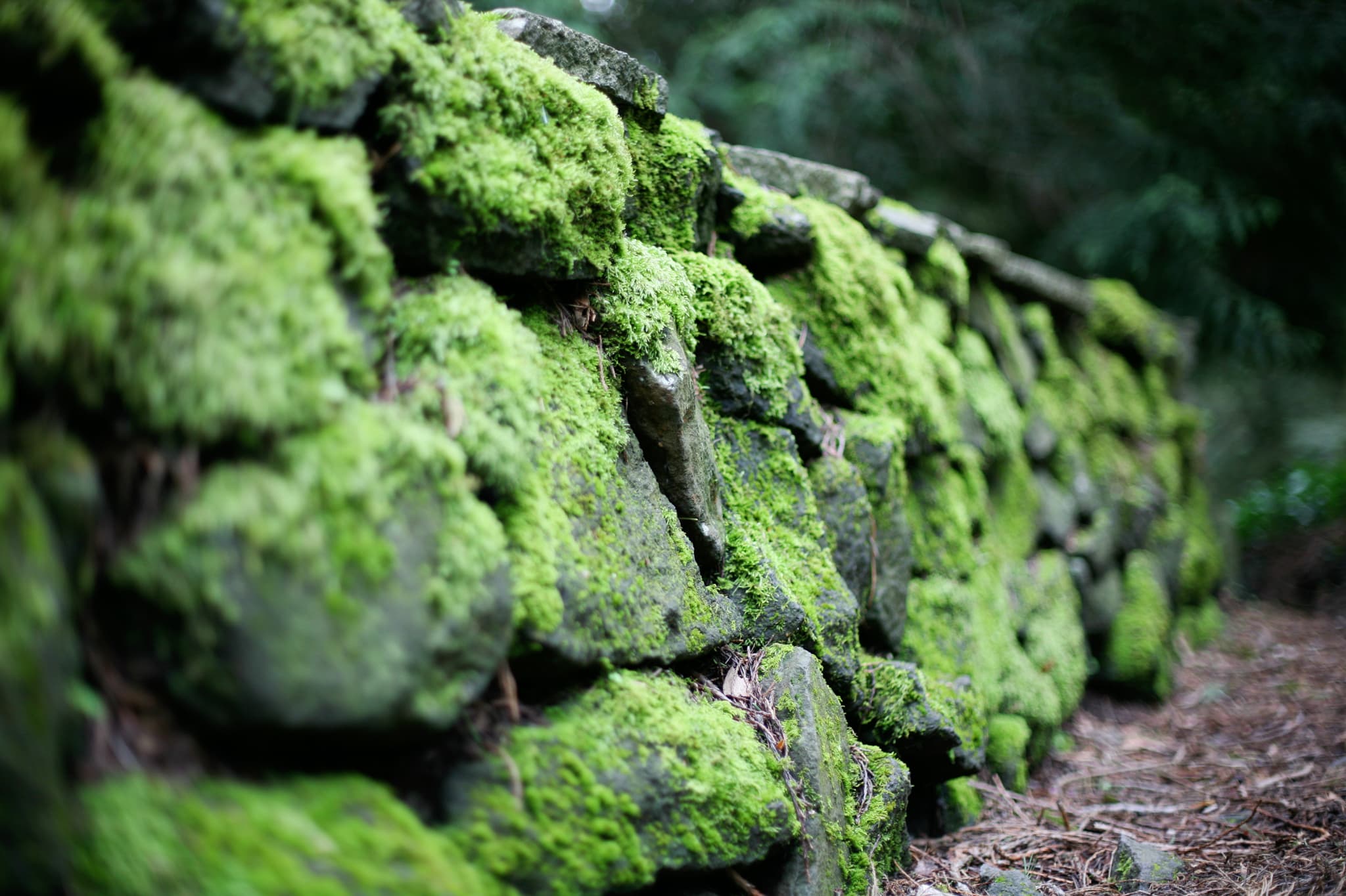 Green Stone — Portland, Oregon