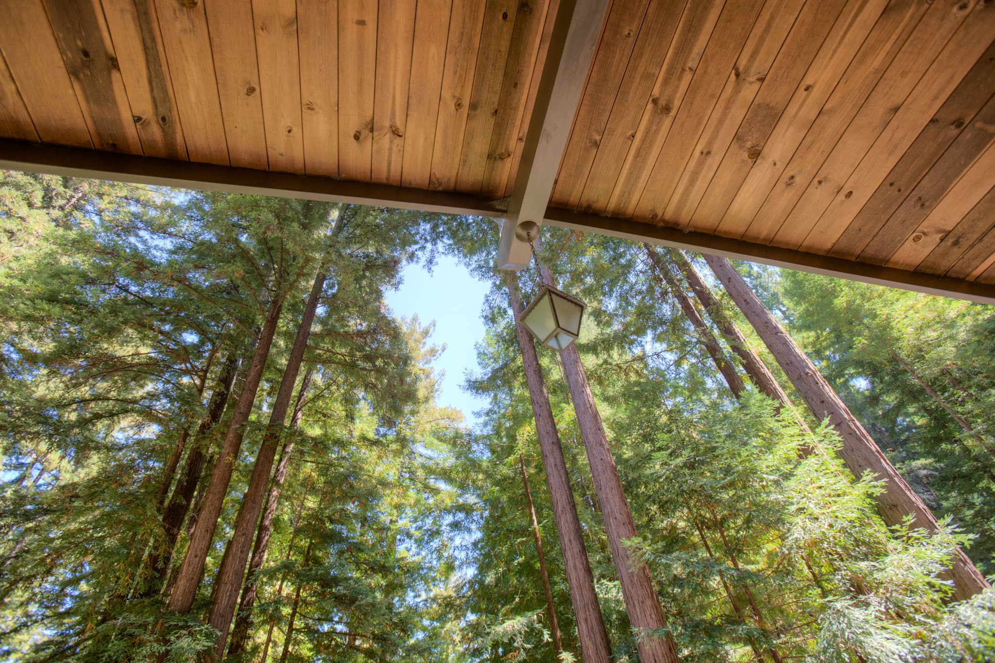 Home Among Giants — Guerneville, California
