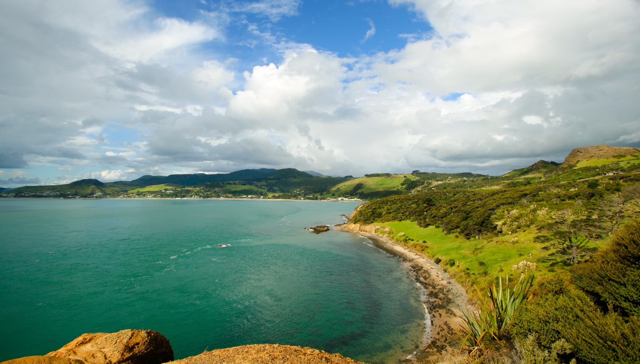 The Bay - Auckland, New Zealand