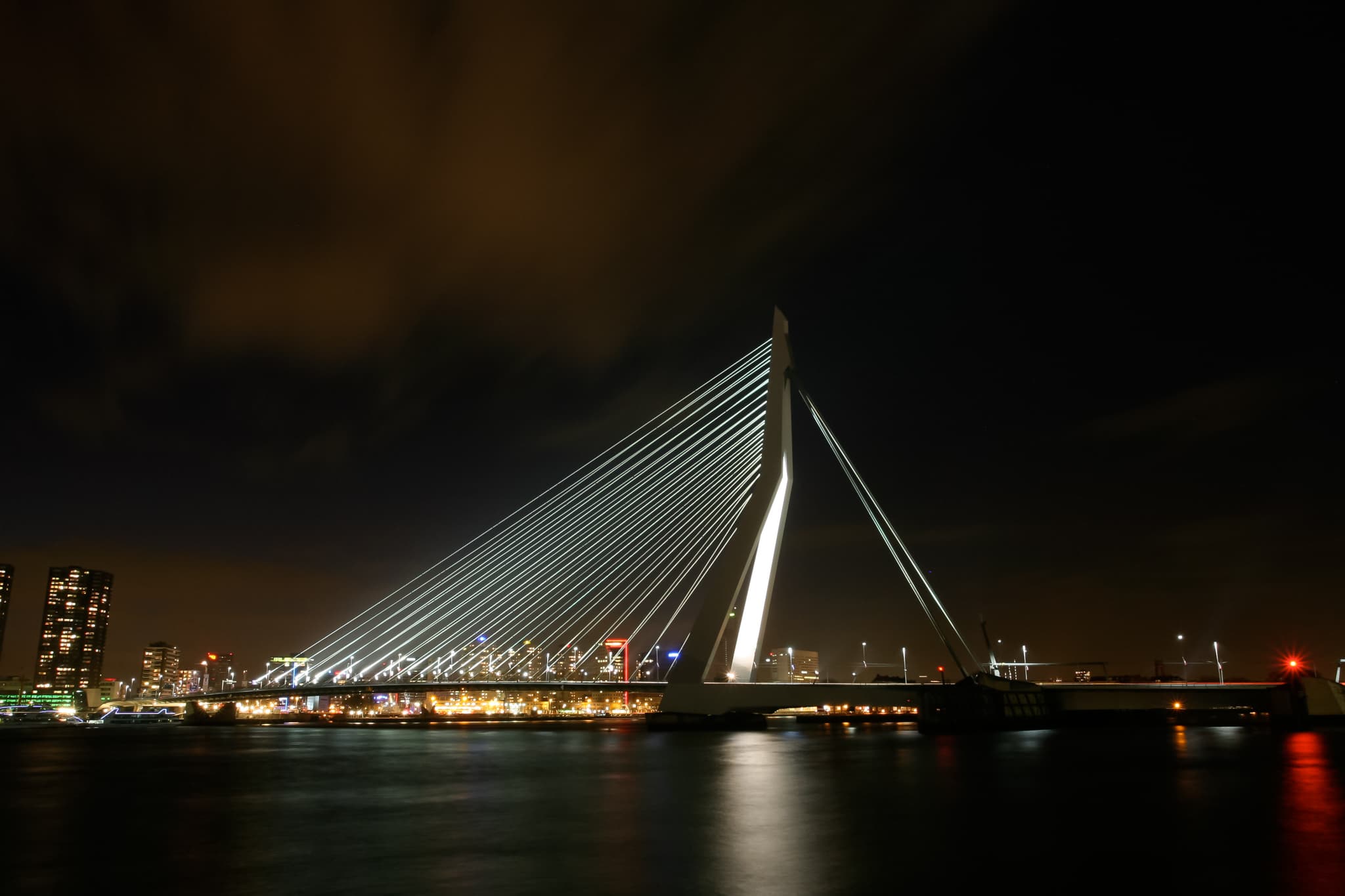 The Swan - Rotterdam, Netherlands
